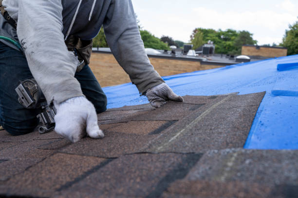Best Roof Gutter Cleaning  in Prince George, VA