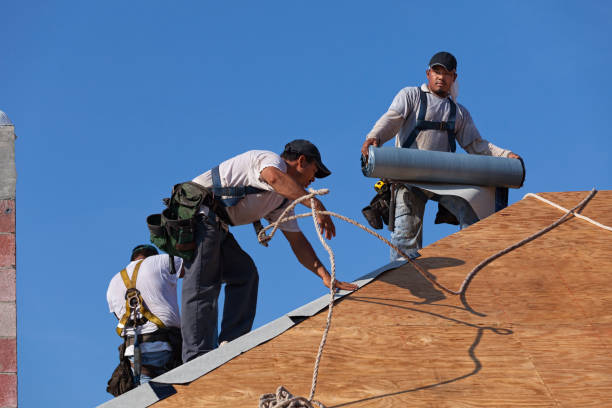 Best Residential Roofing Contractor  in Prince George, VA